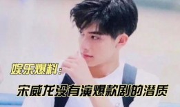 关于宋威龙的爆料视频,娱乐圈背后的真相曝光